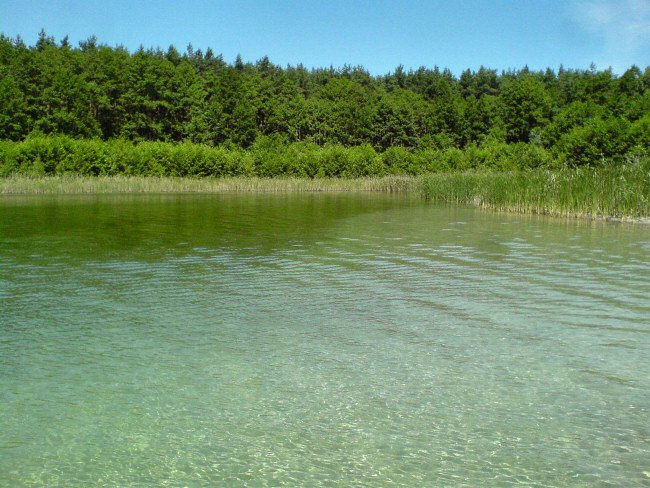blat łowisko blat łowisko
